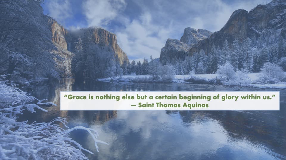 Quote of the Week - Saint Thomas Aquinas