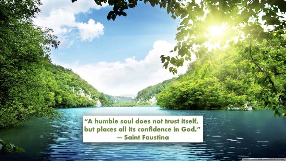 Quote of the Week - Saint Francis de Sales