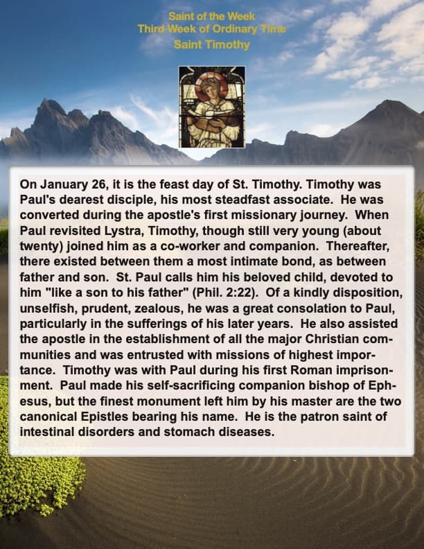 Saint of the Week - Saint Timothy